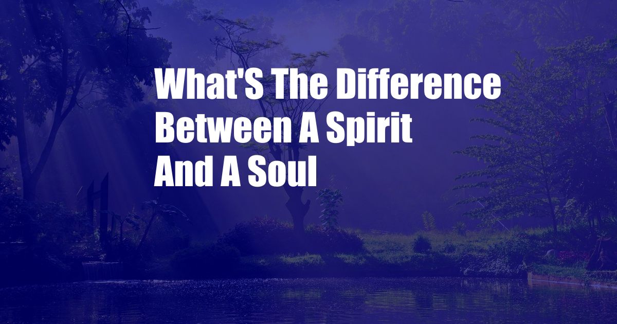 What'S The Difference Between A Spirit And A Soul