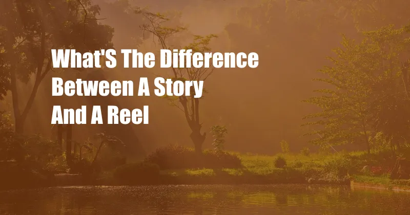 What'S The Difference Between A Story And A Reel
