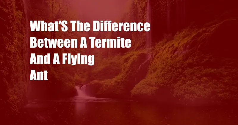 What'S The Difference Between A Termite And A Flying Ant