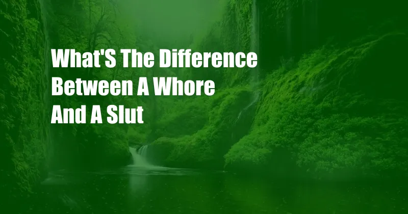 What'S The Difference Between A Whore And A Slut