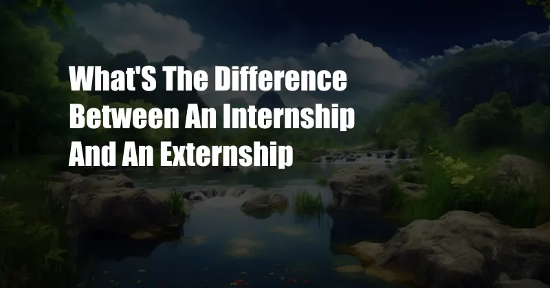 What'S The Difference Between An Internship And An Externship