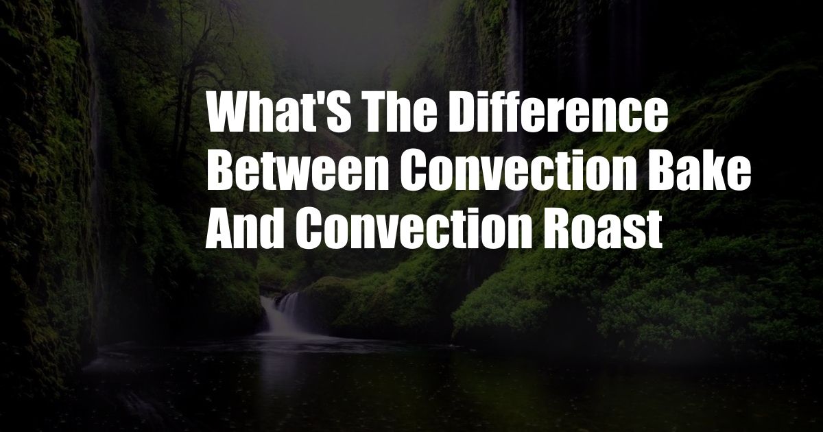 What'S The Difference Between Convection Bake And Convection Roast