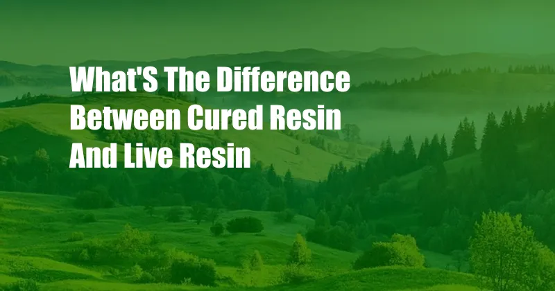 What'S The Difference Between Cured Resin And Live Resin