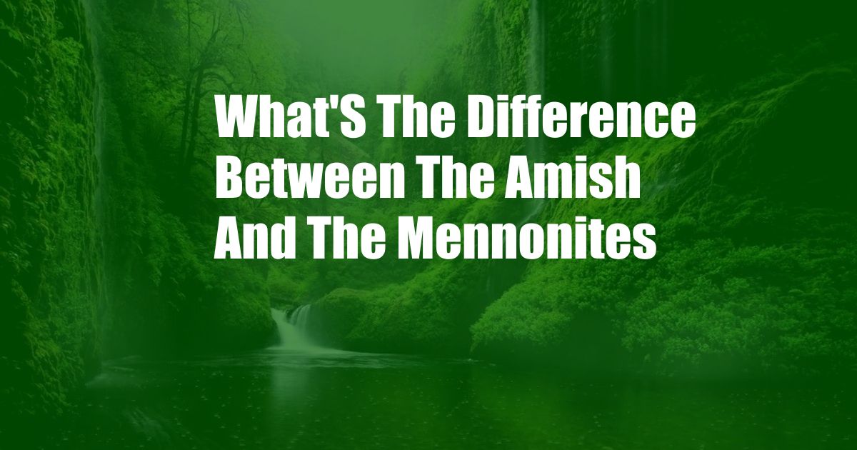 What'S The Difference Between The Amish And The Mennonites