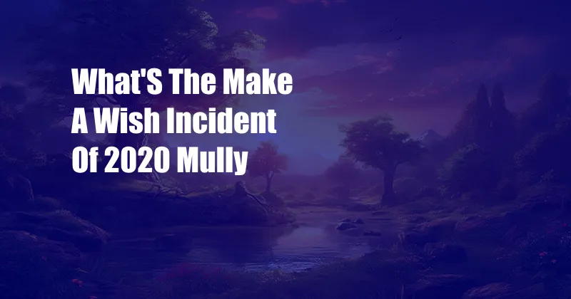 What'S The Make A Wish Incident Of 2020 Mully