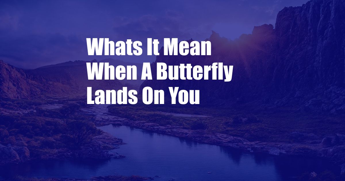 Whats It Mean When A Butterfly Lands On You