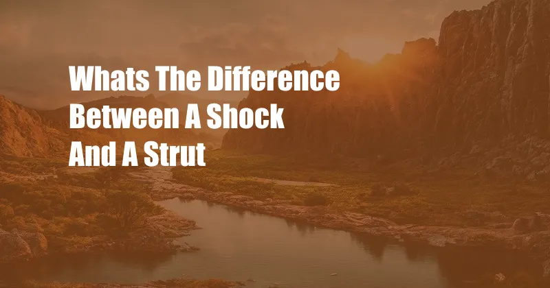 Whats The Difference Between A Shock And A Strut