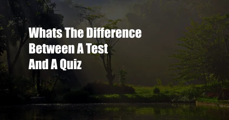 Whats The Difference Between A Test And A Quiz