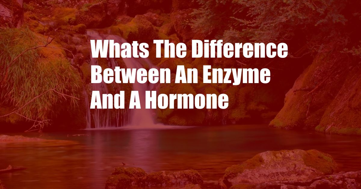 Whats The Difference Between An Enzyme And A Hormone