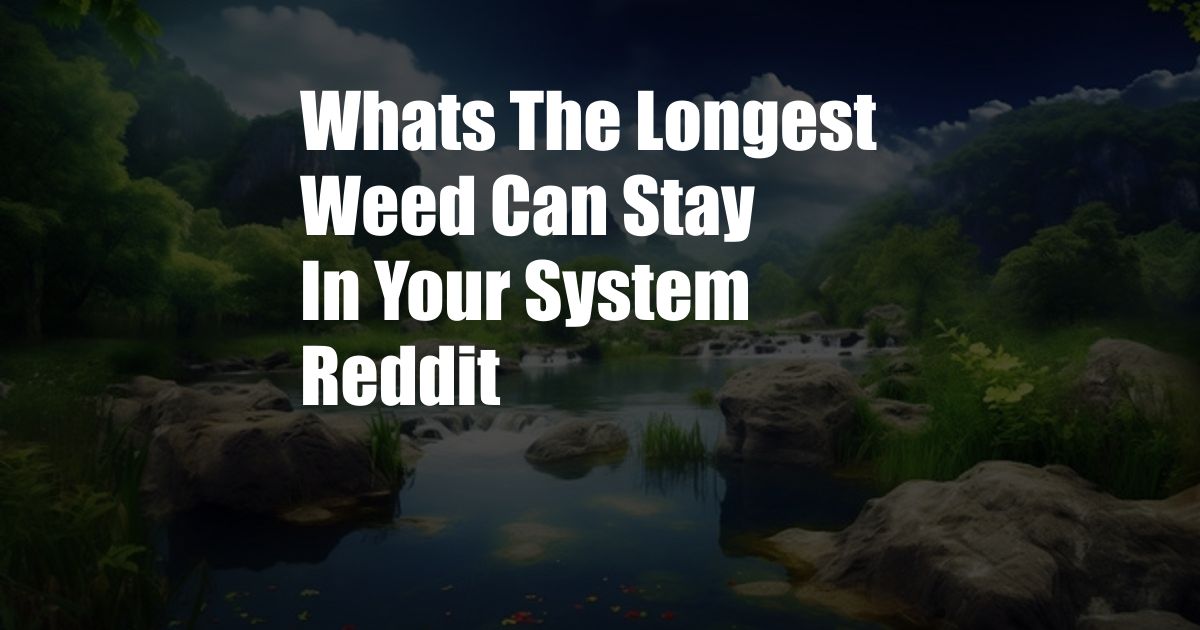 Whats The Longest Weed Can Stay In Your System Reddit