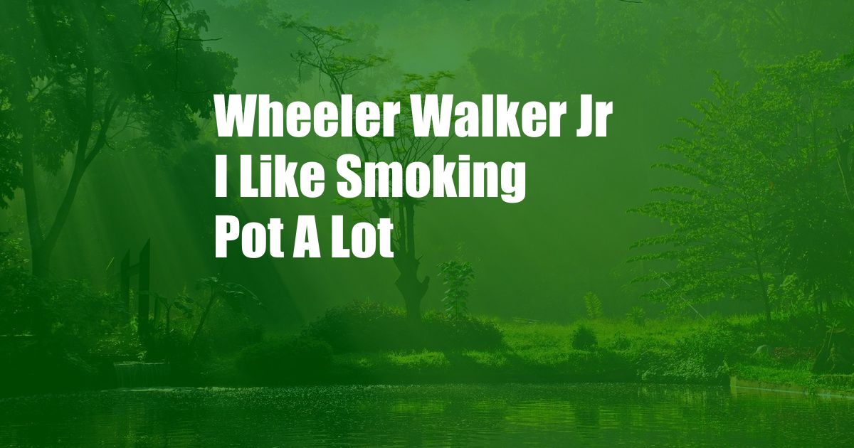 Wheeler Walker Jr I Like Smoking Pot A Lot