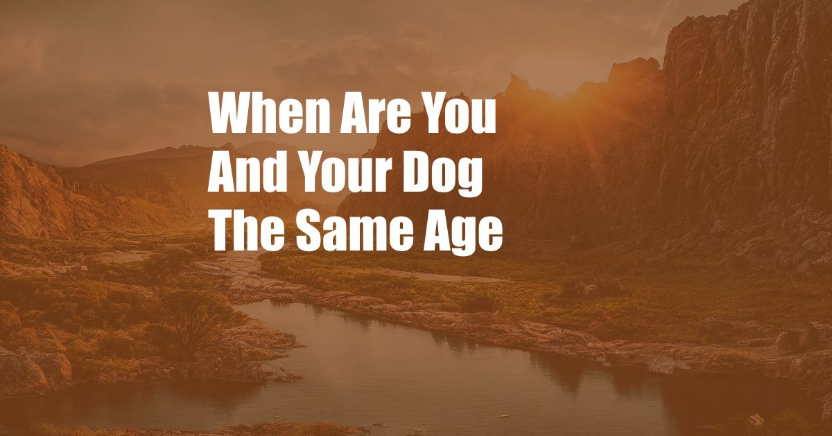 When Are You And Your Dog The Same Age