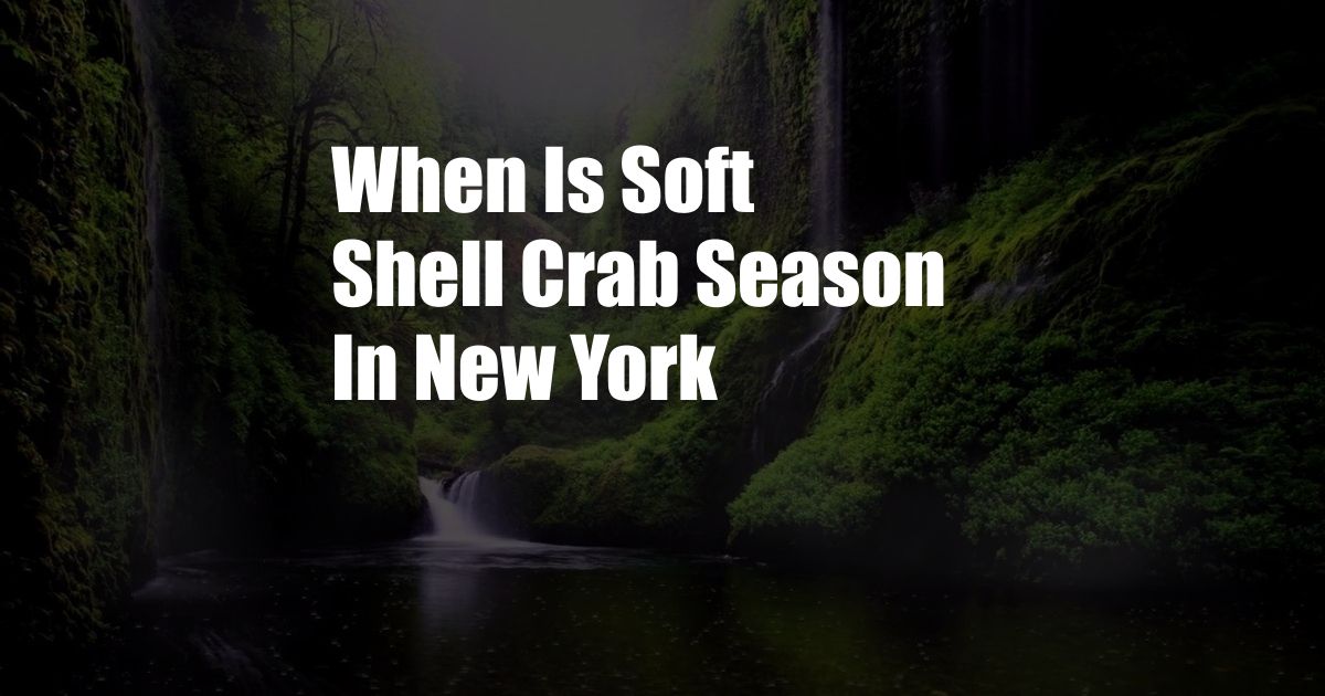 When Is Soft Shell Crab Season In New York