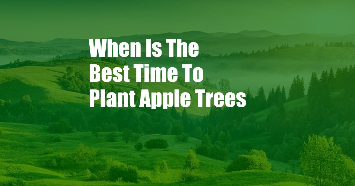 When Is The Best Time To Plant Apple Trees