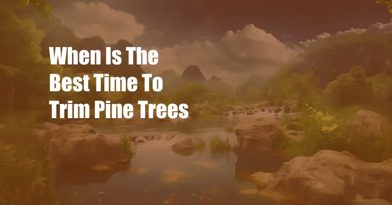 When Is The Best Time To Trim Pine Trees