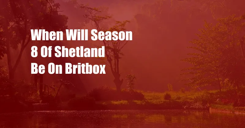 When Will Season 8 Of Shetland Be On Britbox