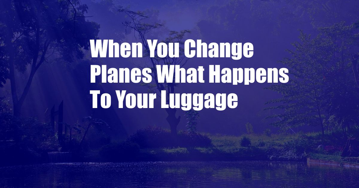 When You Change Planes What Happens To Your Luggage