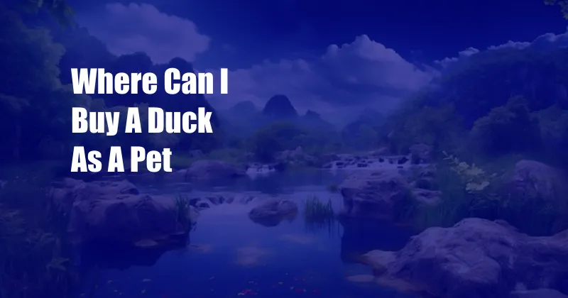 Where Can I Buy A Duck As A Pet