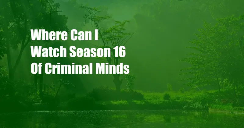 Where Can I Watch Season 16 Of Criminal Minds