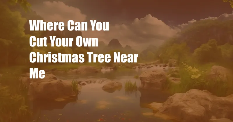 Where Can You Cut Your Own Christmas Tree Near Me