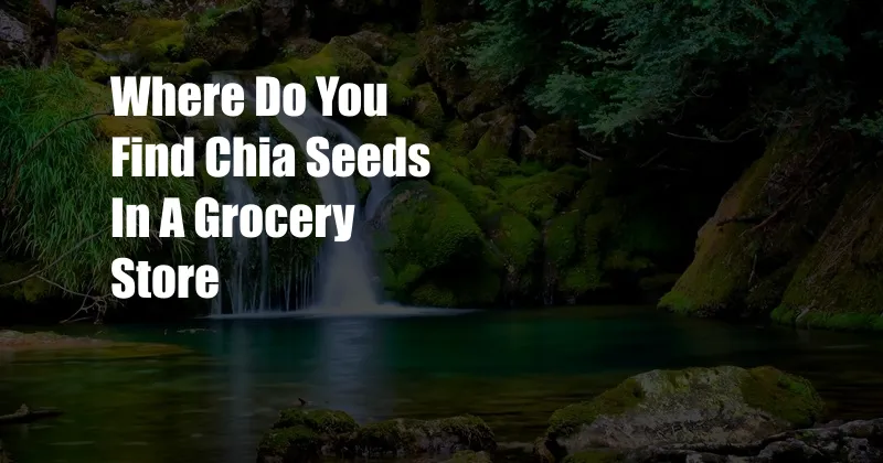 Where Do You Find Chia Seeds In A Grocery Store