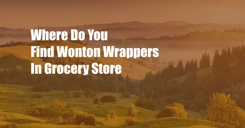 Where Do You Find Wonton Wrappers In Grocery Store