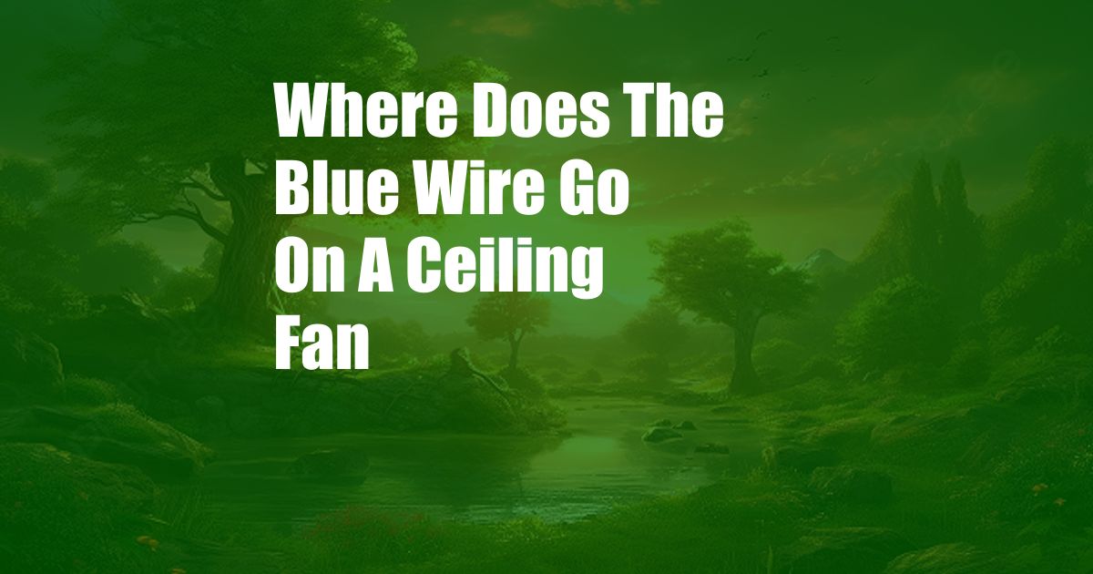 Where Does The Blue Wire Go On A Ceiling Fan