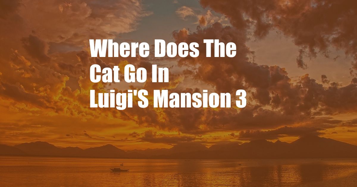 Where Does The Cat Go In Luigi'S Mansion 3