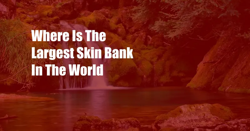 Where Is The Largest Skin Bank In The World