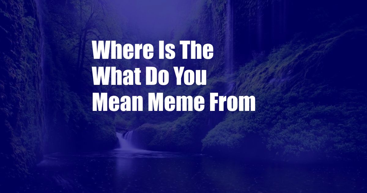 Where Is The What Do You Mean Meme From