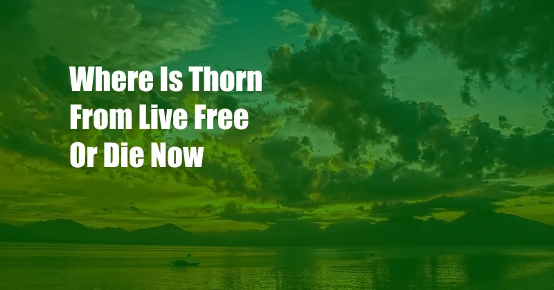 Where Is Thorn From Live Free Or Die Now