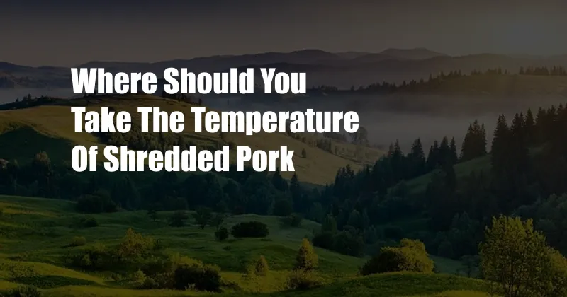 Where Should You Take The Temperature Of Shredded Pork