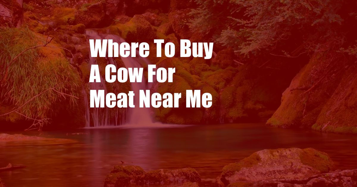 Where To Buy A Cow For Meat Near Me