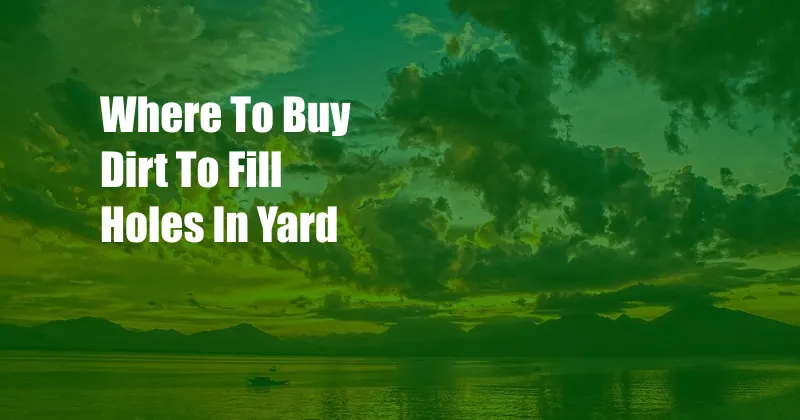 Where To Buy Dirt To Fill Holes In Yard