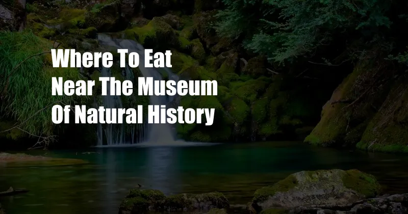 Where To Eat Near The Museum Of Natural History