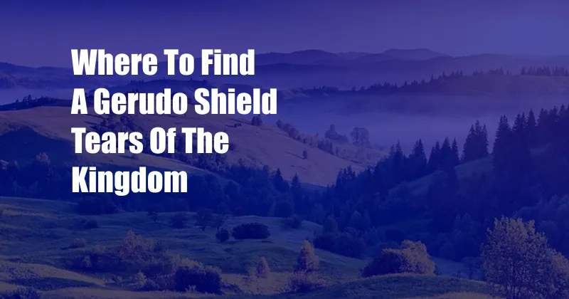 Where To Find A Gerudo Shield Tears Of The Kingdom