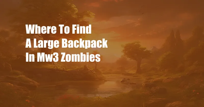 Where To Find A Large Backpack In Mw3 Zombies