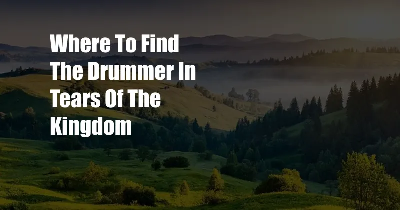 Where To Find The Drummer In Tears Of The Kingdom