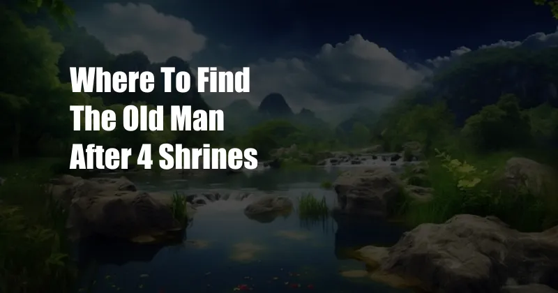 Where To Find The Old Man After 4 Shrines