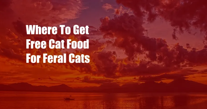 Where To Get Free Cat Food For Feral Cats