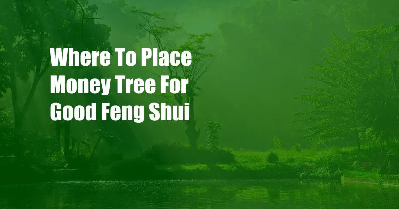 Where To Place Money Tree For Good Feng Shui