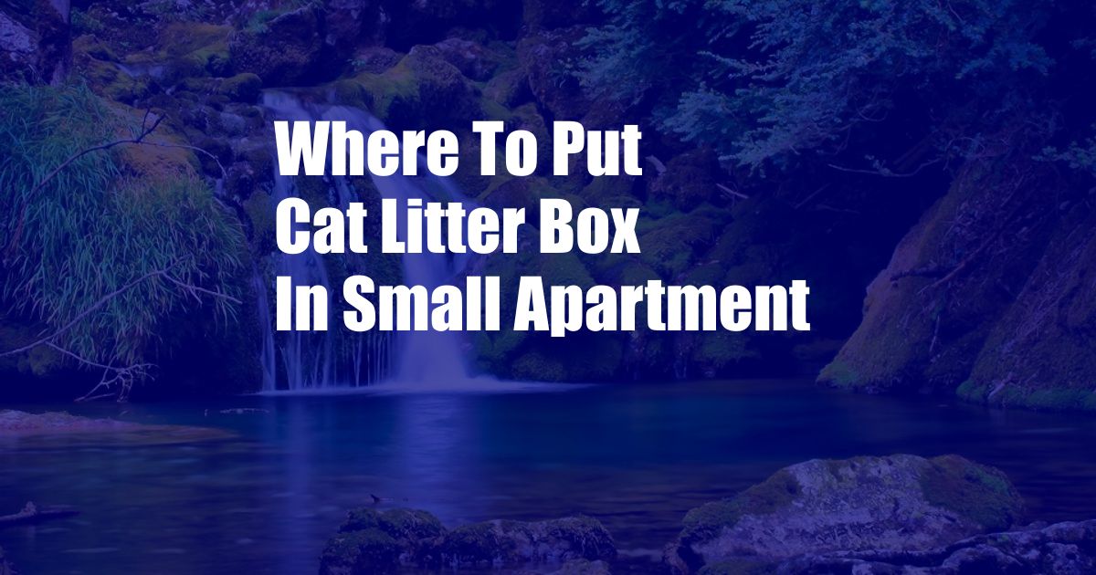 Where To Put Cat Litter Box In Small Apartment