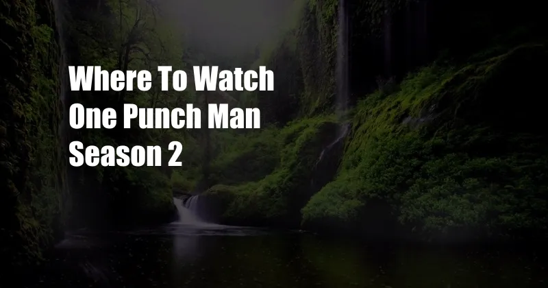 Where To Watch One Punch Man Season 2 