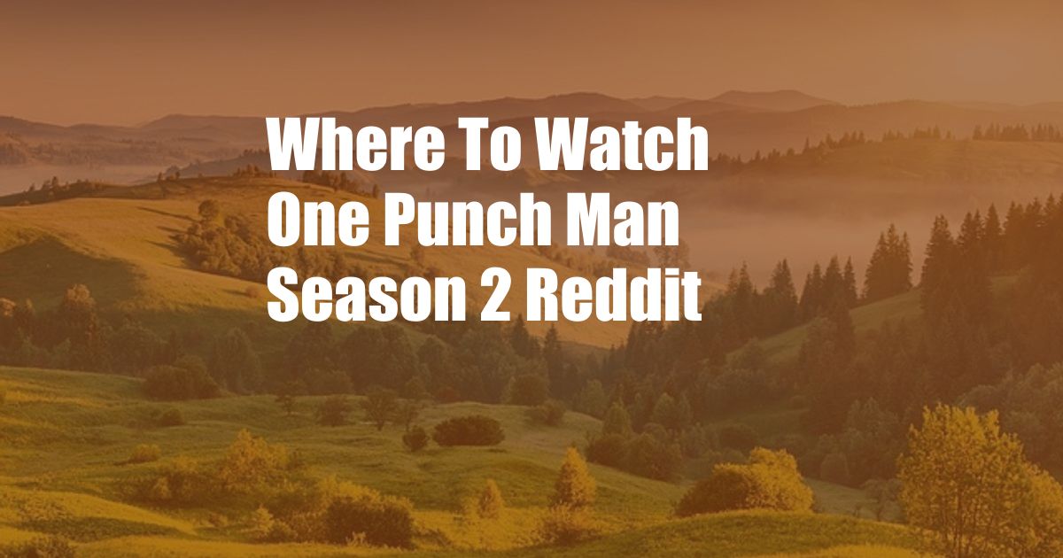 Where To Watch One Punch Man Season 2 Reddit