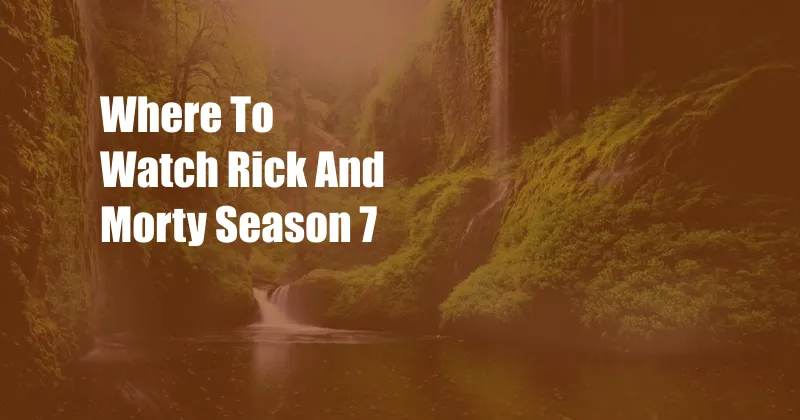  Where To Watch Rick And Morty Season 7