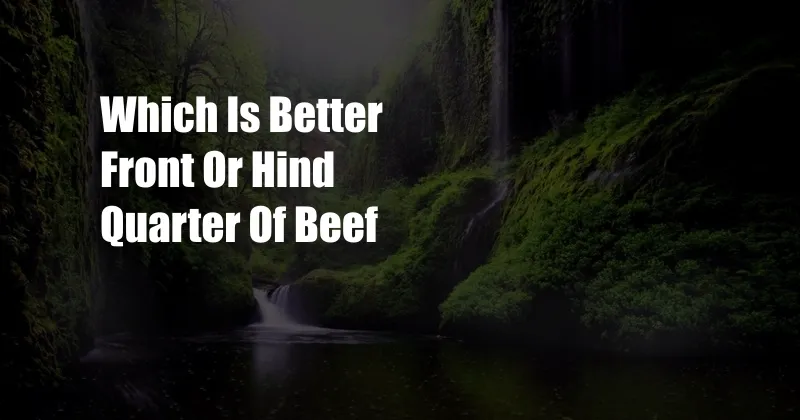 Which Is Better Front Or Hind Quarter Of Beef