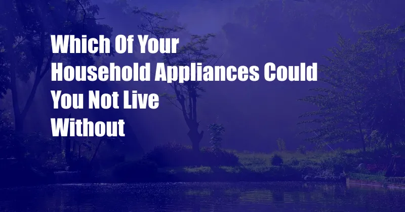 Which Of Your Household Appliances Could You Not Live Without