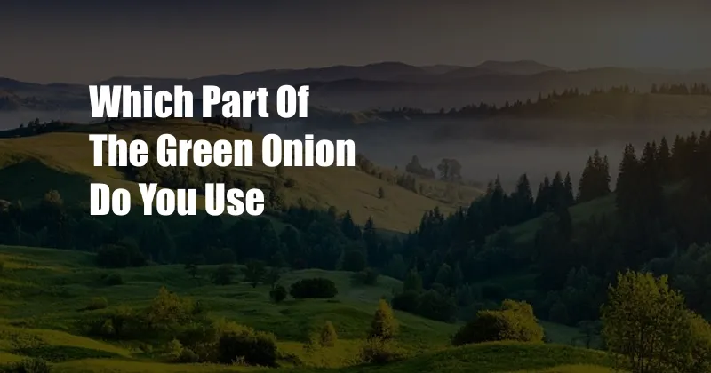 Which Part Of The Green Onion Do You Use