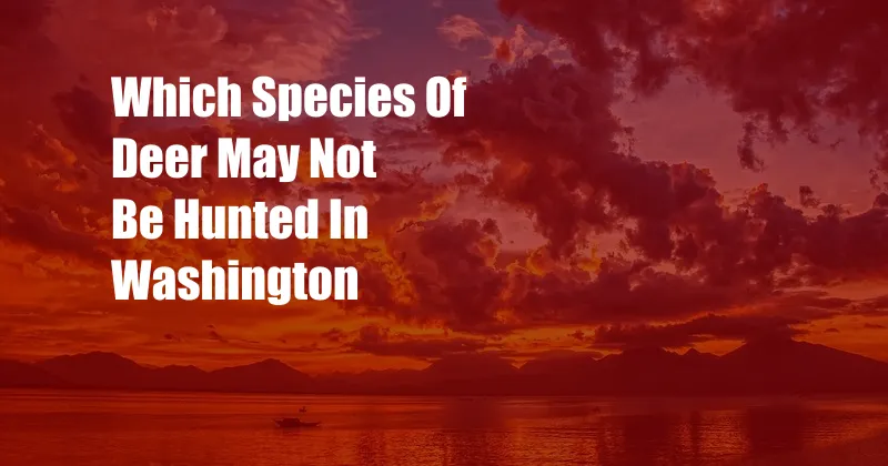 Which Species Of Deer May Not Be Hunted In Washington