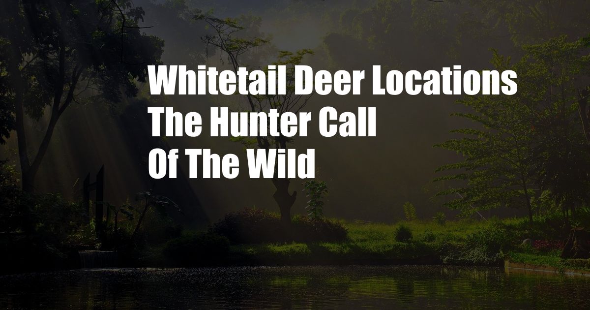 Whitetail Deer Locations The Hunter Call Of The Wild